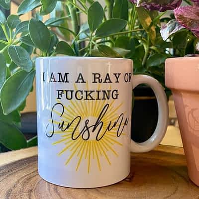I Am A Ray Of Fucking Sunshine Mug Funny Gift