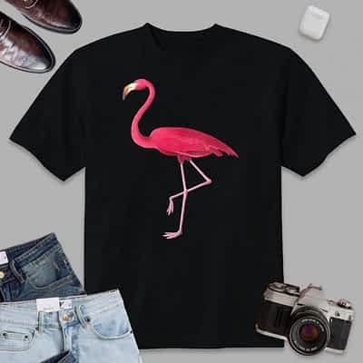 Womens Pink Flamingo Vintage Illustration T-Shirt