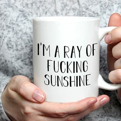 Classic I Am A Ray Of Fucking Sunshine Mug