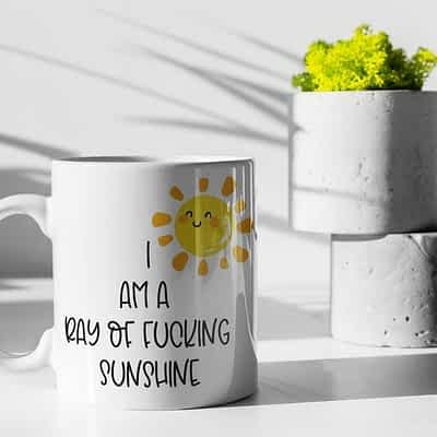 I Am A Ray Of Fucking Sunshine Mug Ceramic Cup