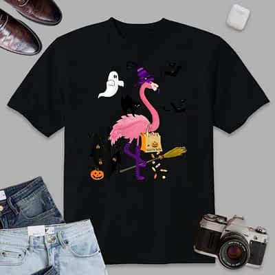 Womens Cute And Fun Halloween Trick Or Treat Witch Flamingo T-Shirt
