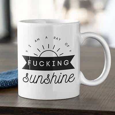 I Am A Ray Of Fucking Sunshine Mug Funny Morning Cup