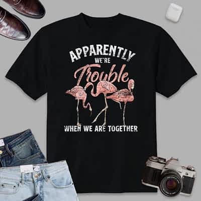 Womens Apparently We Are Trouble When We Are Together Flamingo T-Shirt