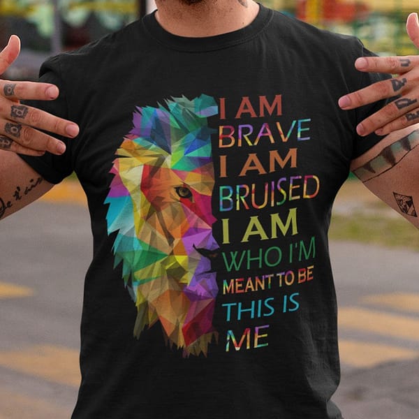 im brave im bruised i am who im meant to be lgbt shirt