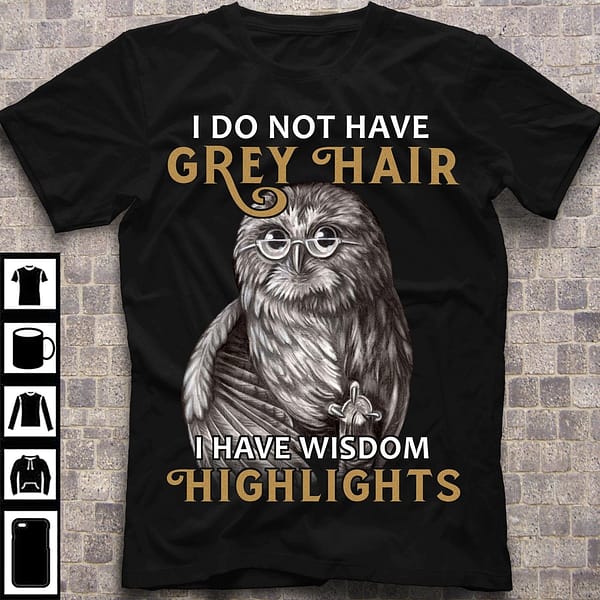 owl shirt i do not have grey hair i have wisdom highlight