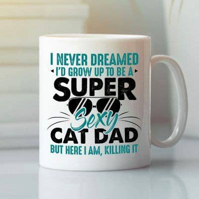 I Never Dream I'd Grow Up To Be A Super Sexy Cat Dad Mug